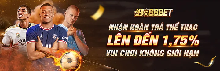 Hoàn trả thể thao đến 1,75% tại Bo88bet